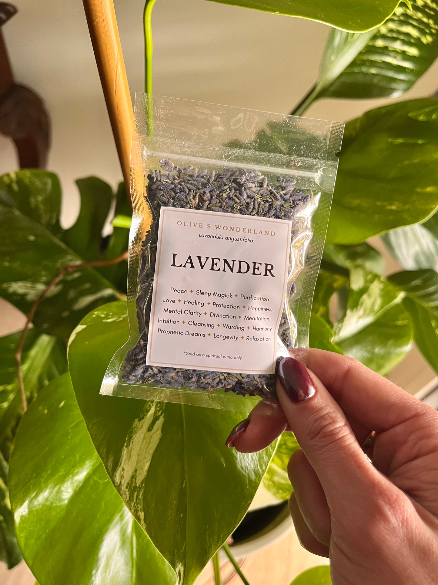 Lavender
