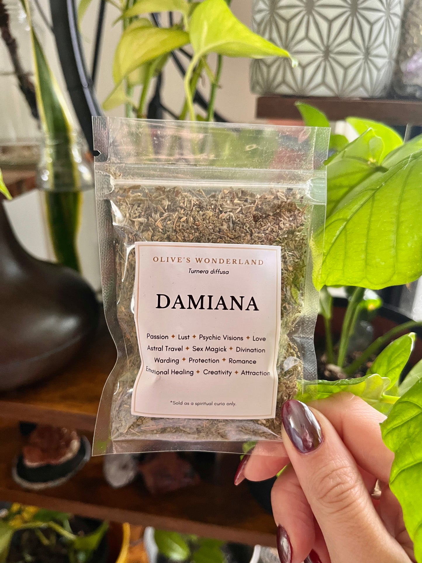 Damiana