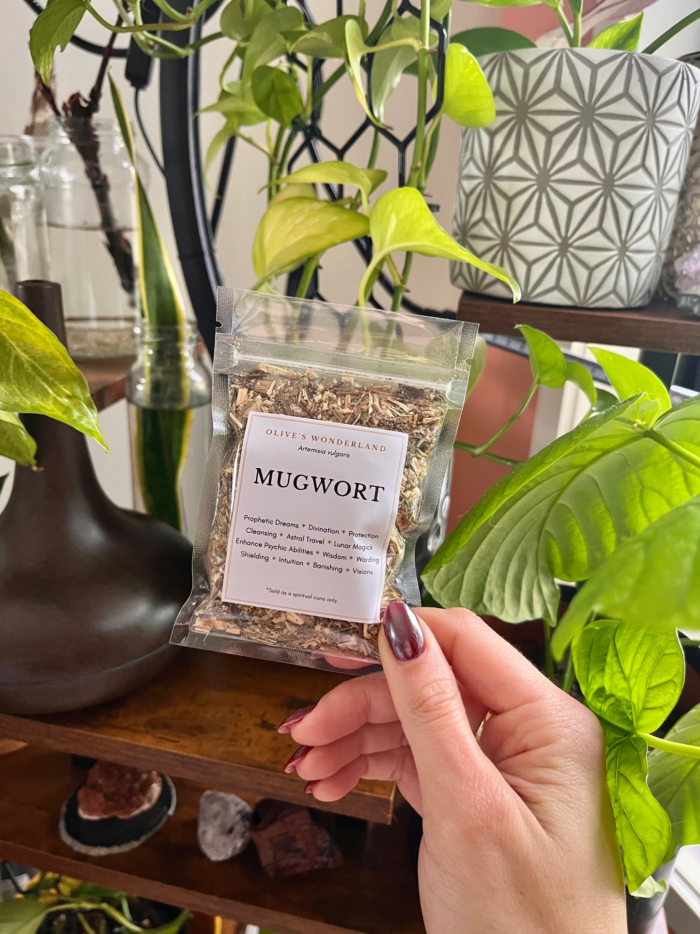 Mugwort