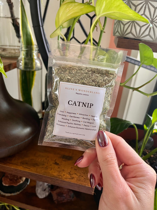 Catnip