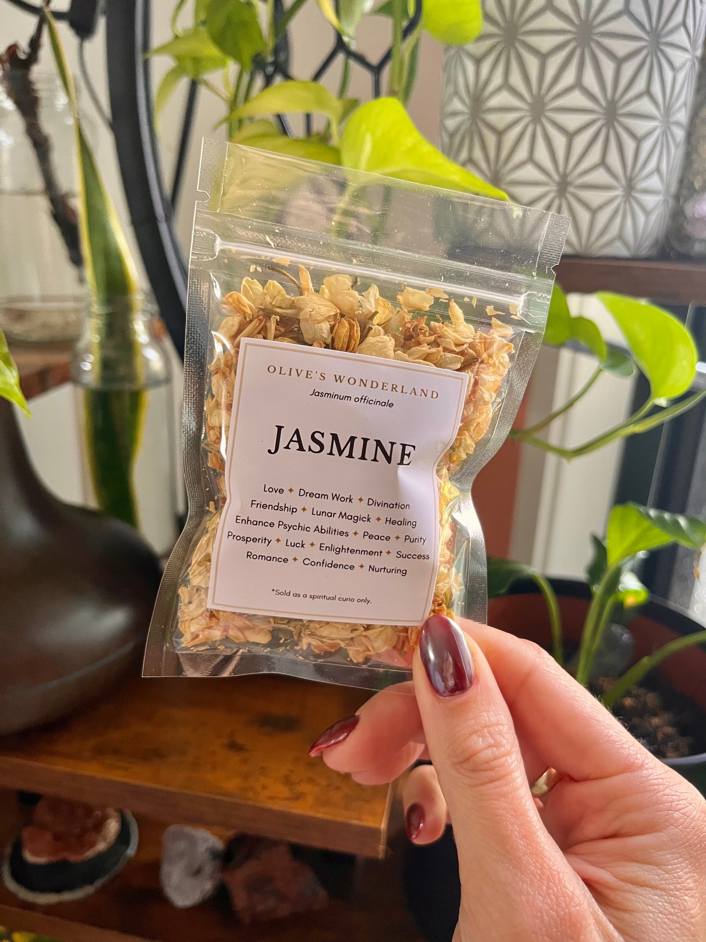 Jasmine