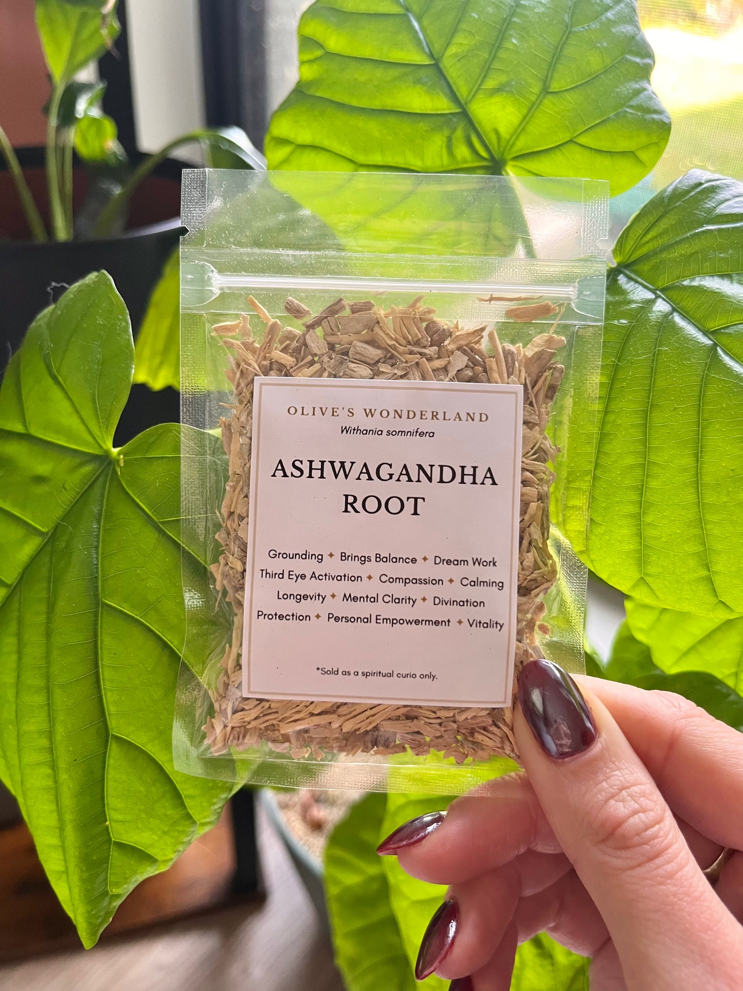 Ashwagandha Root