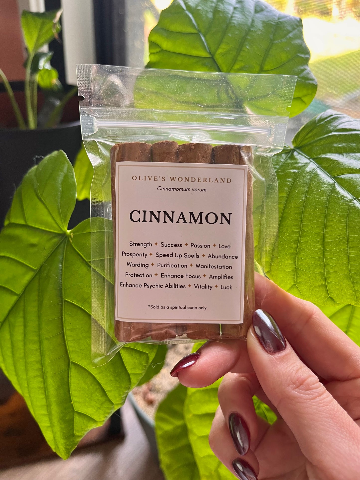 Cinnamon