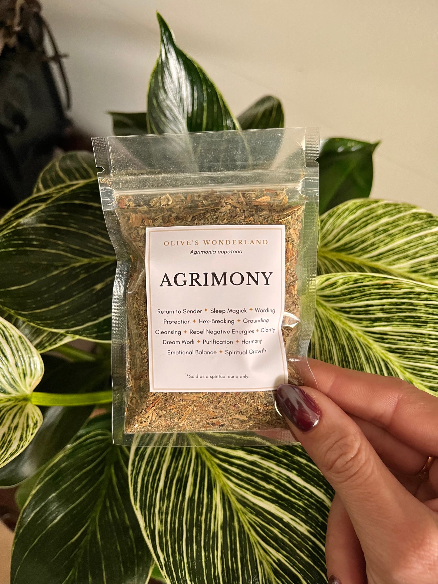 Agrimony