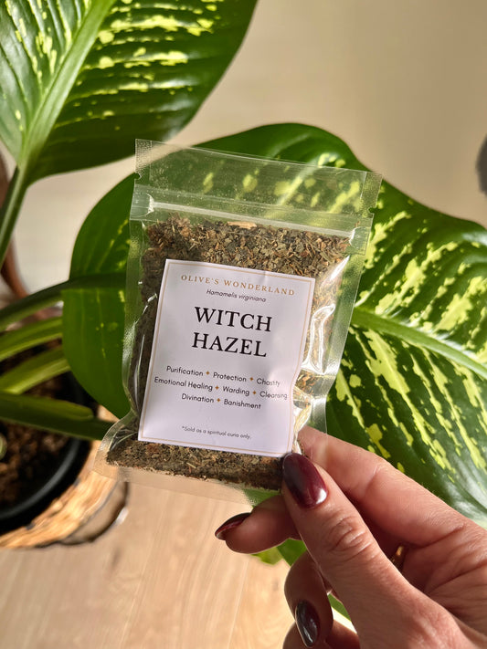 Witch Hazel