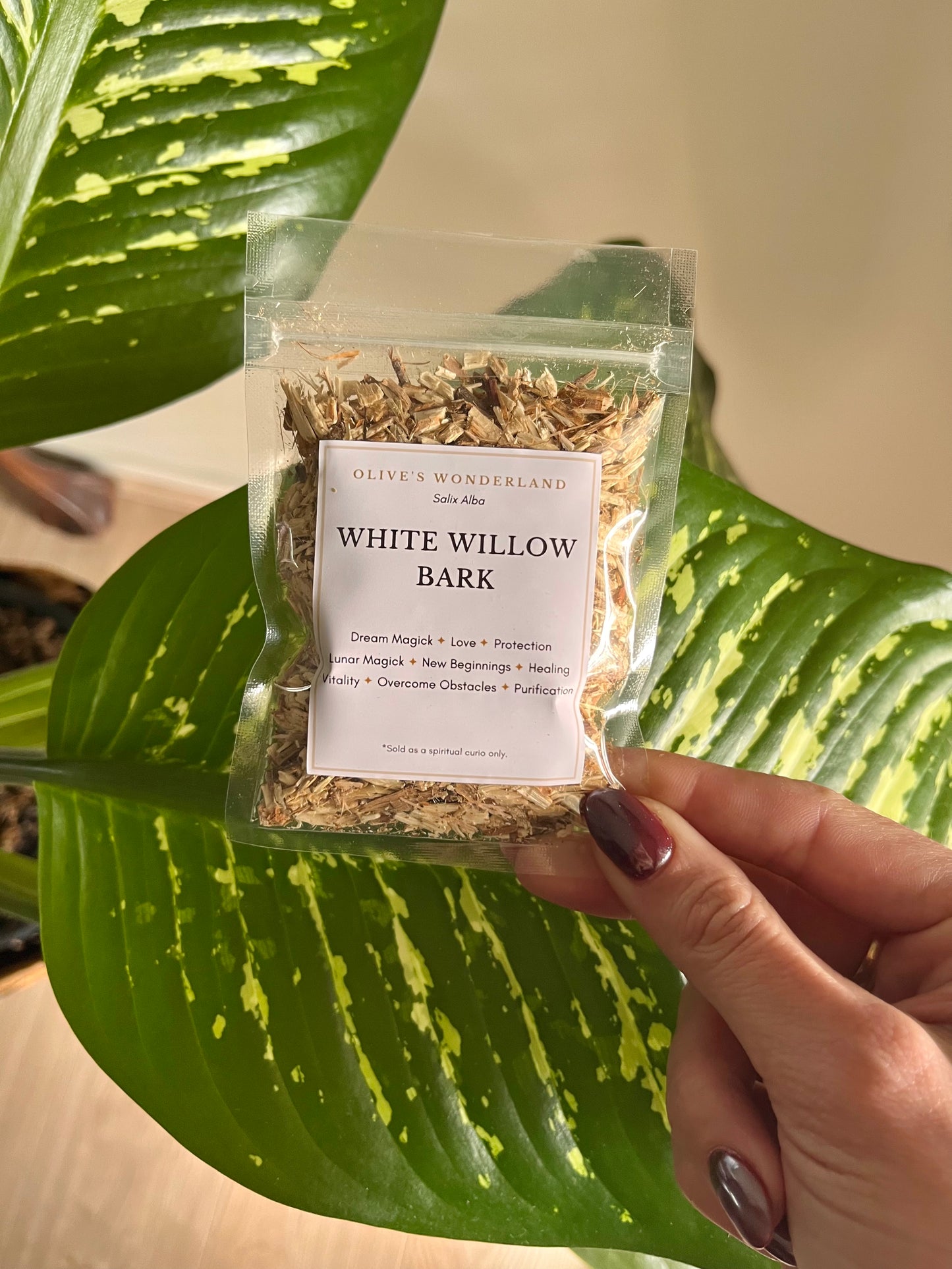 White Willow Bark
