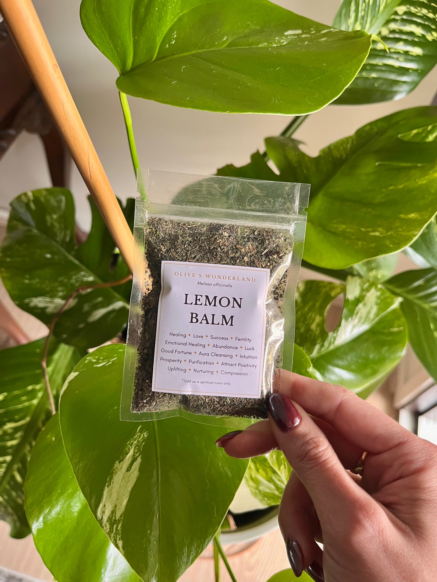 Lemon Balm