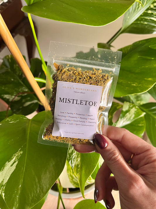 Mistletoe