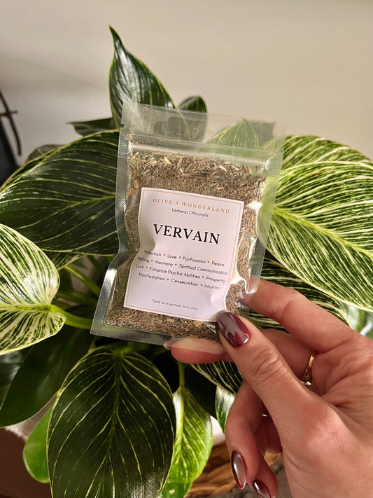 Vervain