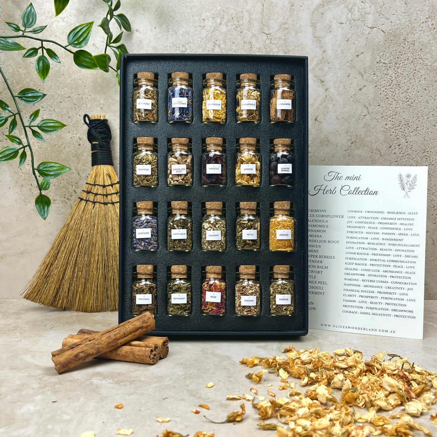 The Mini Herb Collection