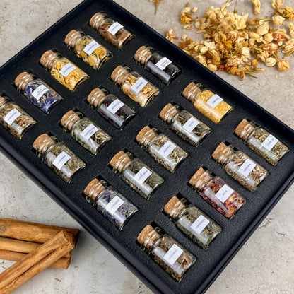 The Mini Herb Collection