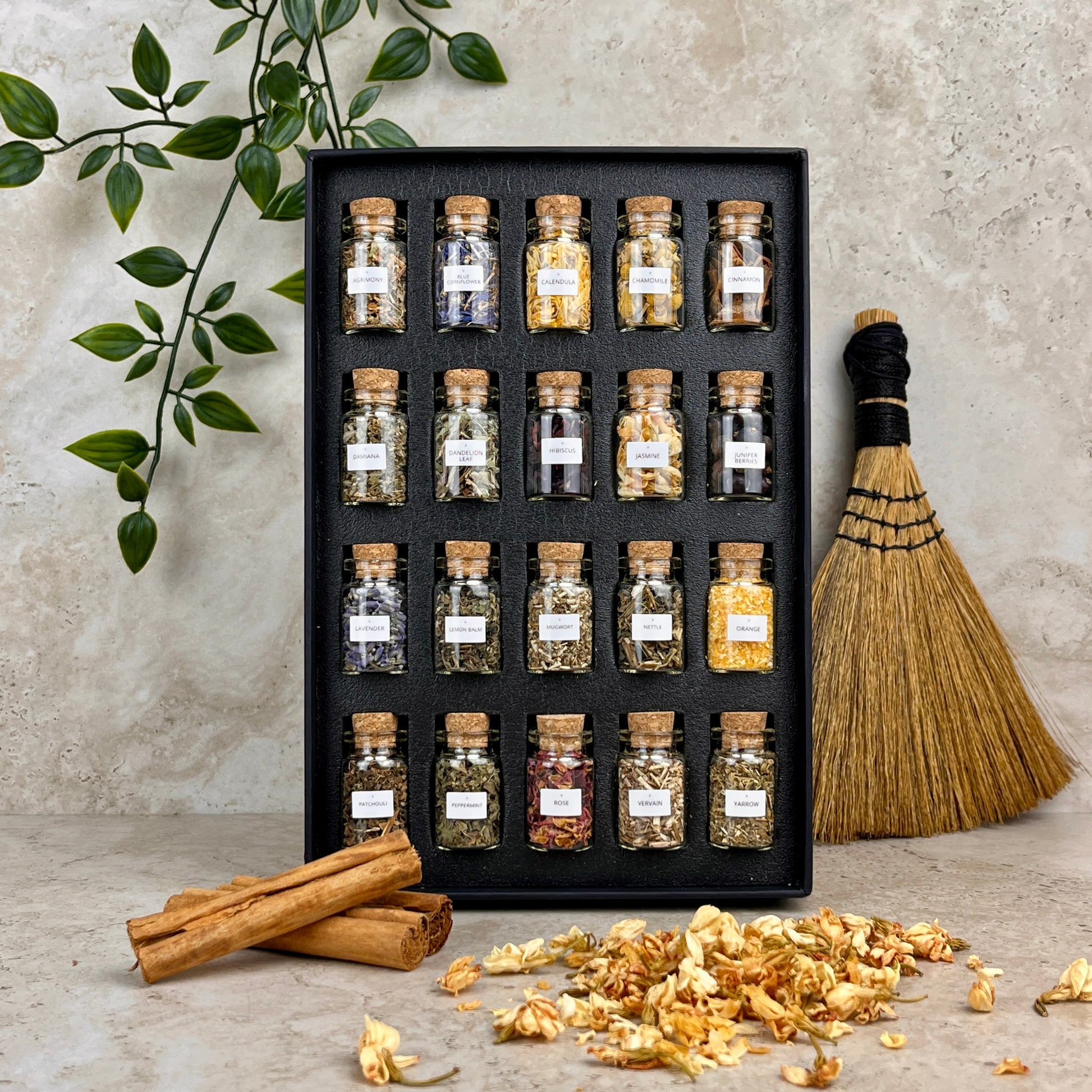 Set of herb jars in a black display box with a besom, cinnamon sticks and dried herbs on a stone surface.